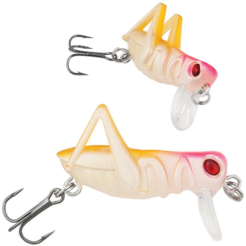 Momeala insecta tip "C