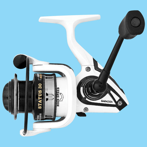 Mulineta spinning/ match Baracuda Status 30