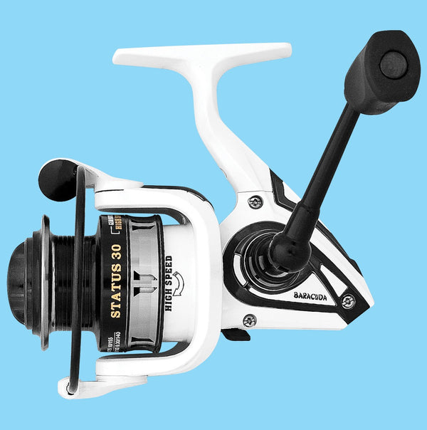 Mulineta spinning/ match Baracuda Status 30