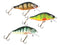 Perch 50 mm