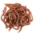 Rame (earthworms)