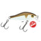 Voblere Baracuda Deluxe Mini ERIS